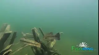 The Science Behind Fishiding Artificial Fish Habitat-Time Lapse Video (Part 6 of 10):