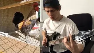 Death Metal Rooster | Петушиный метал