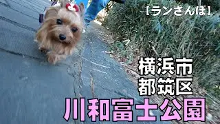 横浜市都筑区「川和富士公園」へ行きました。富士山？から富士山？がみえました。(^^)