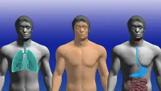 TDI Video - Part One - Hazard Communications