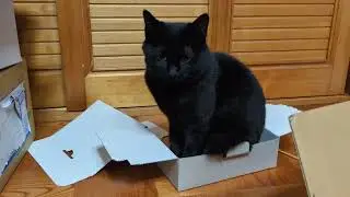 箱とはモノではなく概念である。