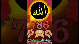 786 stits 2023
