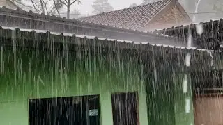 Rainy Countryside Ambience 🌧️ Natural Sounds for Fast, Deep Sleep