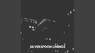 Silverspoon Linings