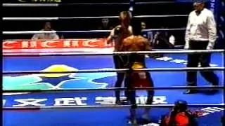 Sanda vs Shootboxing 2