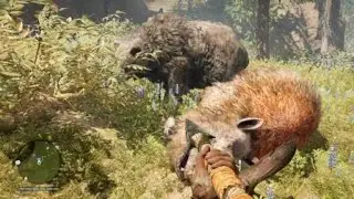 Far Cry&reg; Primal Cave Bear hunt a Rare two horn Rhino