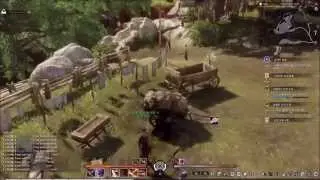 Bless online Assassin