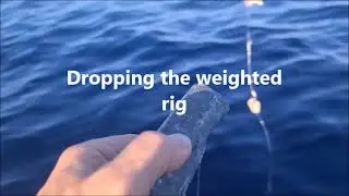 World first orbital modular deep drop rods with electric slow pitch jigging