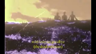 The Shadowboxers | WON'T EVER SAY GOODBYE | (Official Visuals)