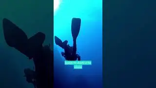 5 best places for diving in Cyprus