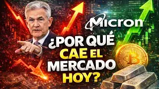 Why Is the Market Falling Today? MU Stocks | Bitcoin | Looking for Investment Opportunities