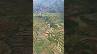 landscape UK