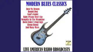 Dust My Broom (Live)