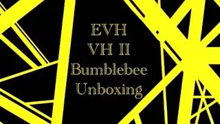 2021 EVH Striped Series VH II “Bumblebee” Unboxing