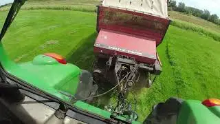 Vers gras voeren aan de koeien