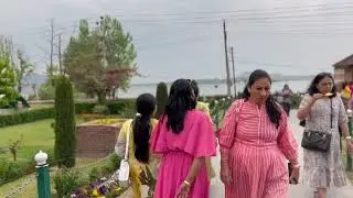 Nishat Bagh Srinagar | Kashmir | Jammu | Best garden | Garden | Flowers | Dal lake | Kashmir Trip