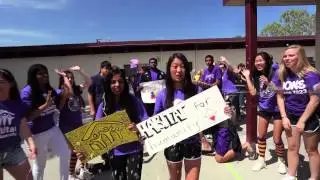 Amador Valley Lip Dub 2014