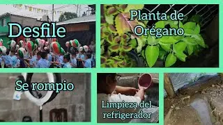 Limpieza del refrigerador| Tomando te de orégano 🍵