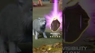 👊👊Отважное приключение Джерри! &laquo;Смотрите, как я побеждаю могучего Конга!&raquo; #wolfgame #dog #kingkong
