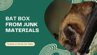 Making A Bat Box From Junk