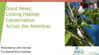Bird Chat: John Hannan: Linking Habitat Conservation Across the Americas