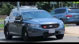 Best of Convenient Cop, Drivers Busted by Police