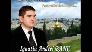 Prea milostiva Maica - Ignatiu Andrei Banc