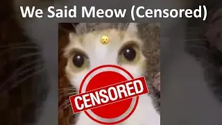 We Said Meow (Censored Edition) - Gabii Uvu