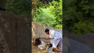 Kabootar Choor Pakra Gaya 😂 | #comedy #shorts