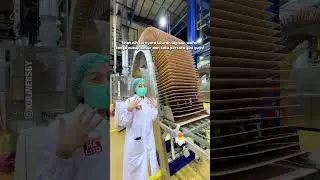 GREBEK PABRIK WAFER TANGO! Lihat langsung yang dapat rekor MURI