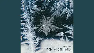 Ice Flowers