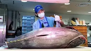 Wonderful Tuna Cutting Skills , 200KG Giant Bluefin Tuna Cutting, Sashimi, Japanese Market