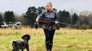 The Complete List of Versatile Hunting Dogs (Pointers, Retrievers, Trackers: NAVHDA 31)