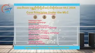 Basic Rights of Seafarers | ILO & MLC 2006 Explained