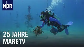 Lebenswelt K&uuml;ste I Best of zum Jubil&auml;um mareTV I NDR Doku