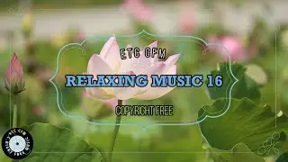 Relaxing stress relief sleep music mp3 download 16 | No Copyright | Mood Videos |Meditation| etccfm