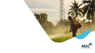 Fertilizer subsidy reforms and the way forward