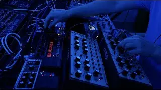 DFAM x 2 Session 1