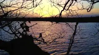 Float Peacefully (Original Composition) - Benjamin Jones