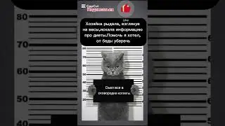 Помог как смог😆😂#shorts #cat #юмор