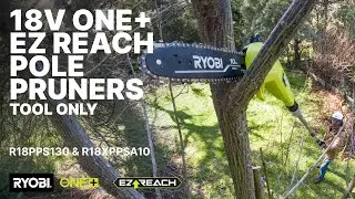 RYOBI 18V HP&trade; Brushless EZ Reach&trade; 10&rdquo;(254mm) Pole Pruner (R18XPPSA10)