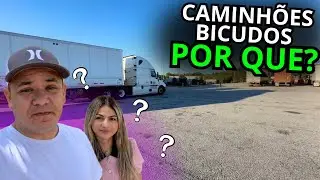 POR QUE OS CAMINHÕES AMERICANOS SÃO BICUDOS?