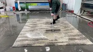 DIRTY WATER SQUEEGE! Satisfying content, ASMR, Rug pick up in smyrna GA, Atlanta, marietta, vinings