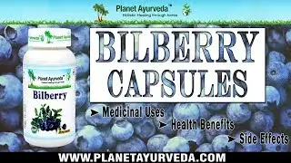 Bilberry Capsules- Medicinal Uses, Health Benefits and Side effects