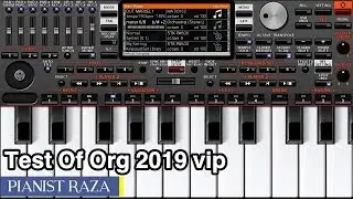 Org 2019 Vip Version Test