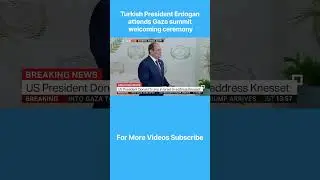 Turkish President Erdogan attends Gaza summit welcoming ceremony.