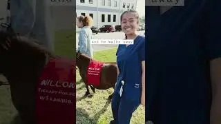 I thought he was a therapy pony 😭