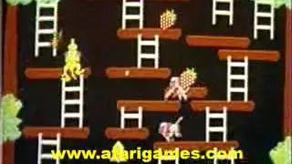 Atari Coin Op: Kangaroo Dealer Promo (1982)