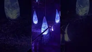 Immersive Experience at Fernbank Museum - WildWoods : AGLOW - By Studio Artefact and Thinkwell Group