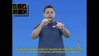 [Projeto Surdos] [Gloss&aacute;rio] - Citosol